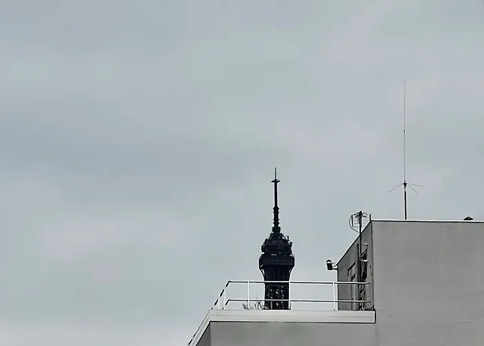 Quai De Seine Tour Eiffel Trocadéro Appartement *